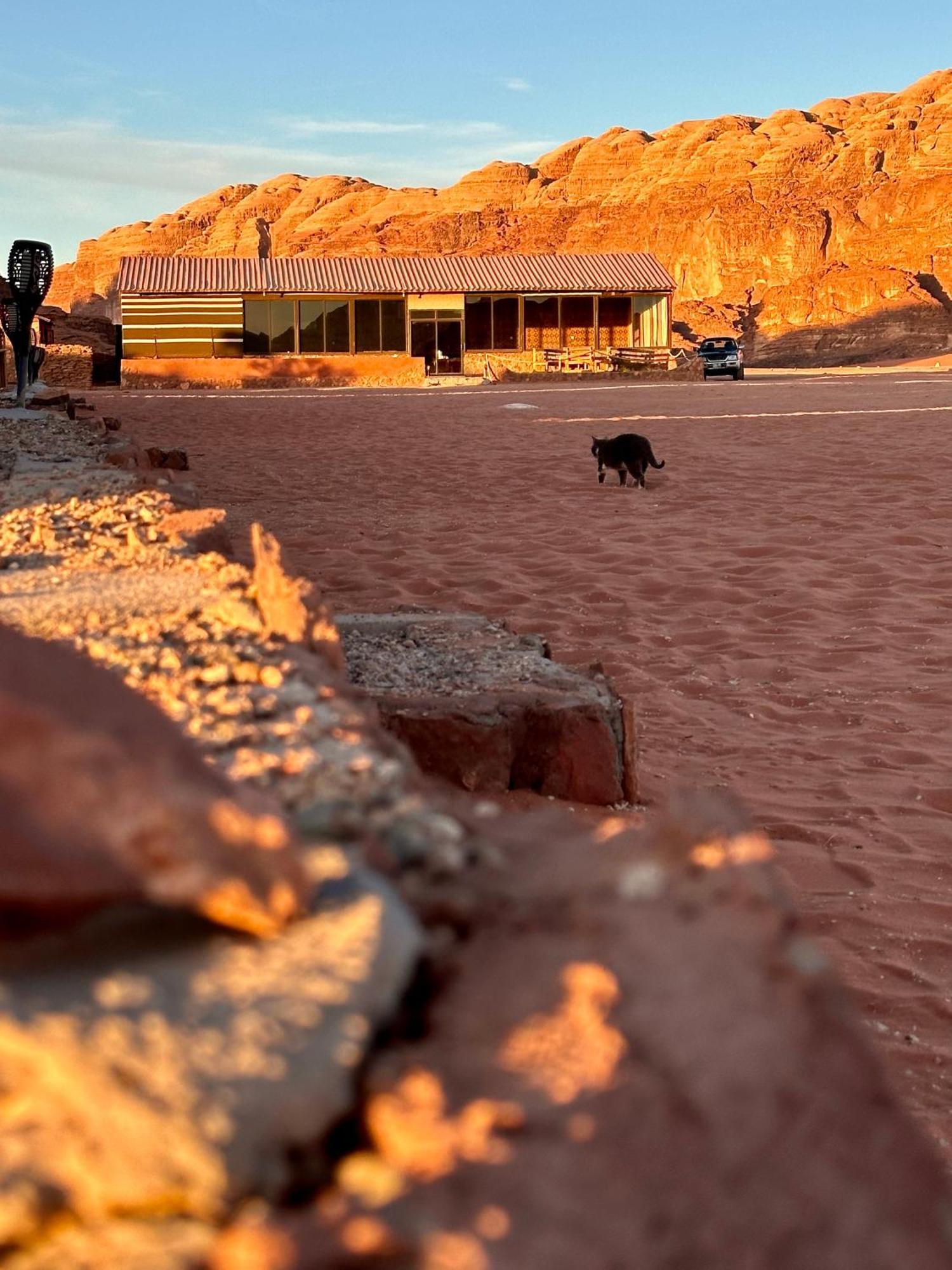 Hotel Salameh'S Bedouin Camp à Wadi Rum Extérieur photo
